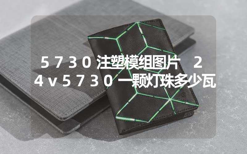 5730注塑模组图片 24v5730一颗灯珠多少瓦